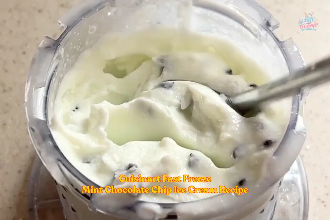 Cuisinart Fast Freeze Mint Chocolate Chip Ice Cream Recipe