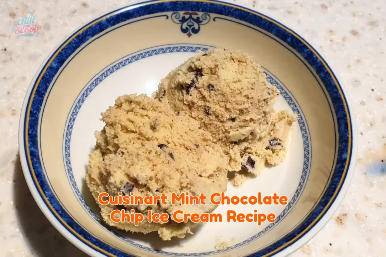 Cuisinart Mint Chocolate Chip Ice Cream Recipe